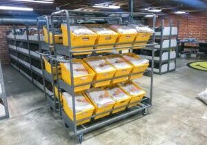 Picking Carts With Bins